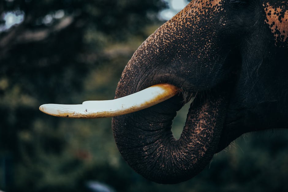 激光脱毛的本質與影響：一場冷靜的哲學探討